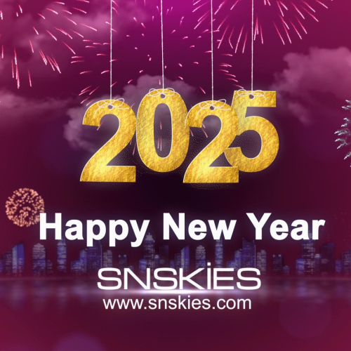 Reflecting on an Incredible Year of Growth & Innovation at Snskies!